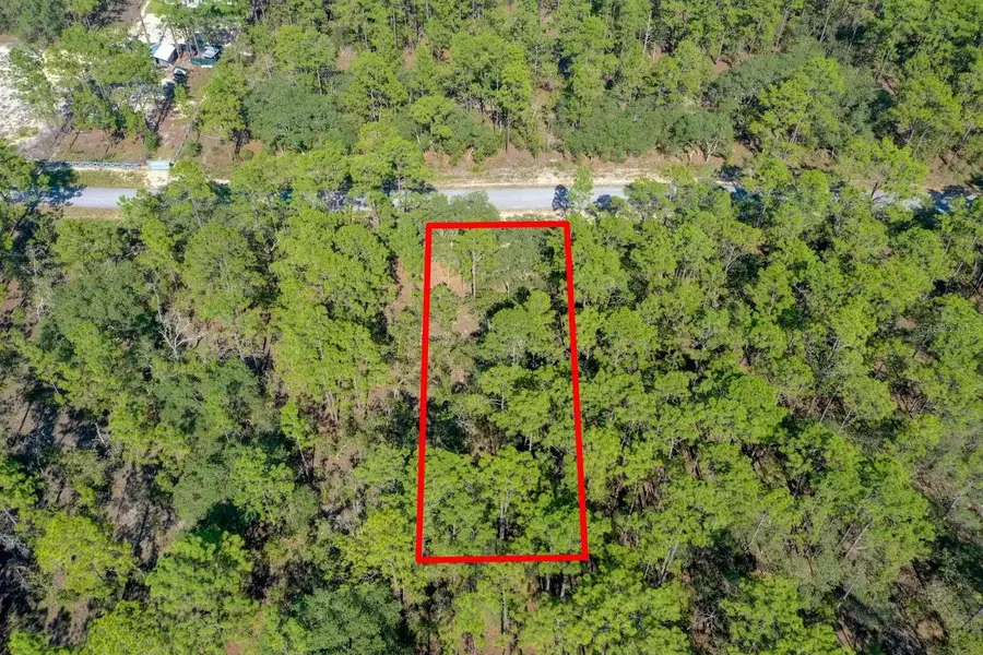 Lot #1 Alvarez Road, Dunnellon, FL 34431 - Image #3