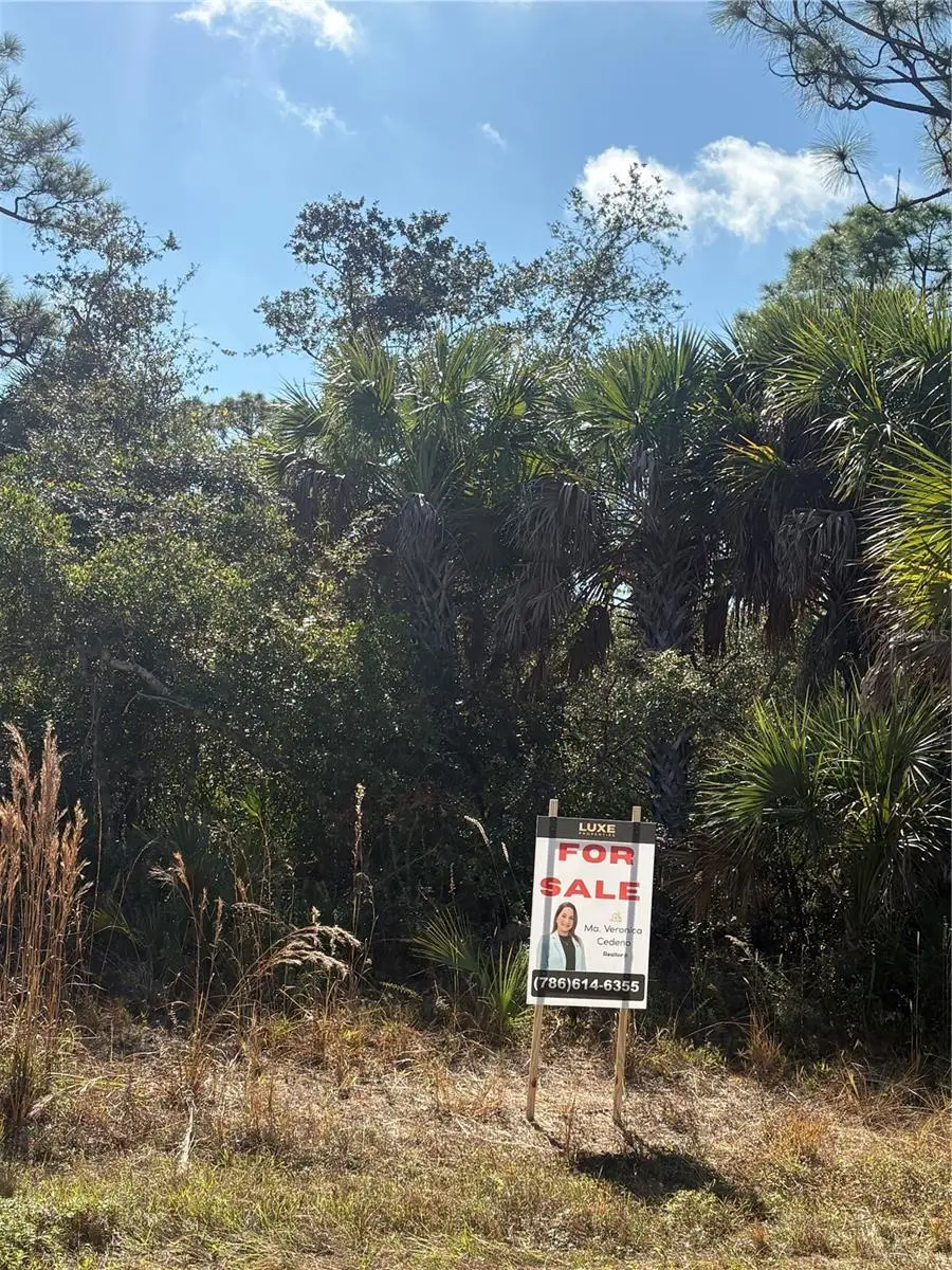 14191 Darwin Avenue, Port Charlotte, FL 33953 - Image #2