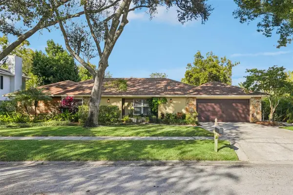 4201 Meadow Hill Drive, TAMPA, FL 33618