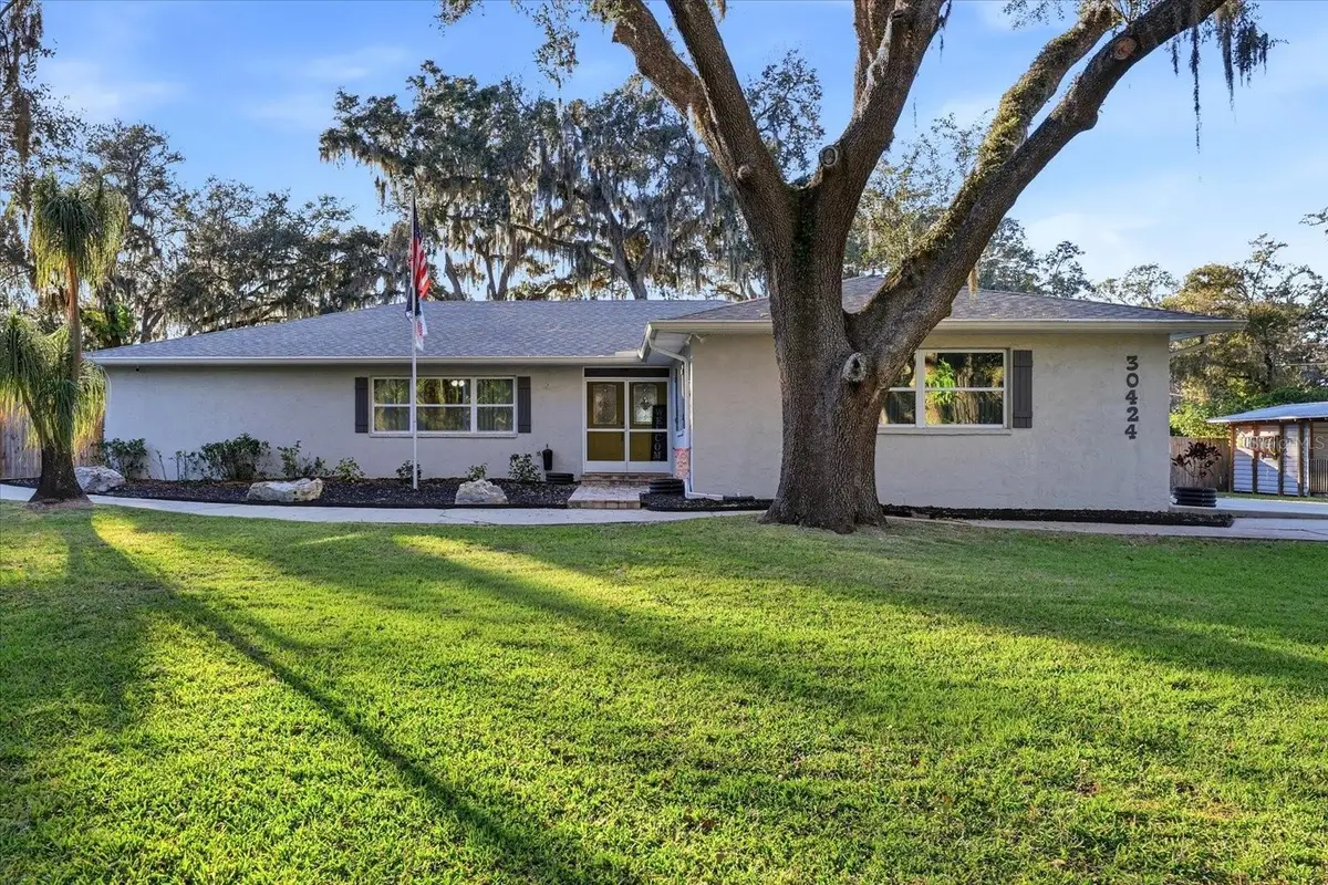 30424 Hillside Lane, Wesley Chapel, FL 33545 - #1