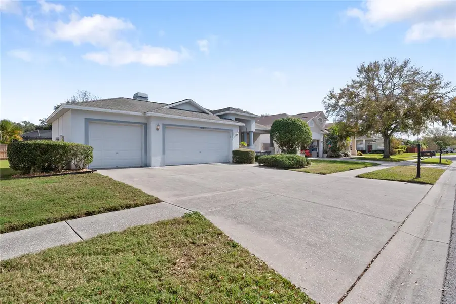 12903 Lake Ventana Drive, Tampa, FL 33625 - Image #3
