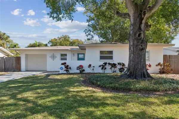 4705 W Alline Avenue, TAMPA, FL 33611
