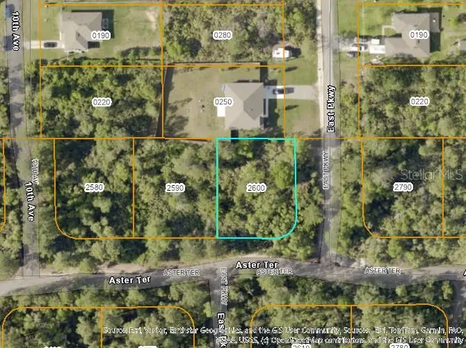 TBD Aster Terrace, Deland, FL 32724 - Image #2