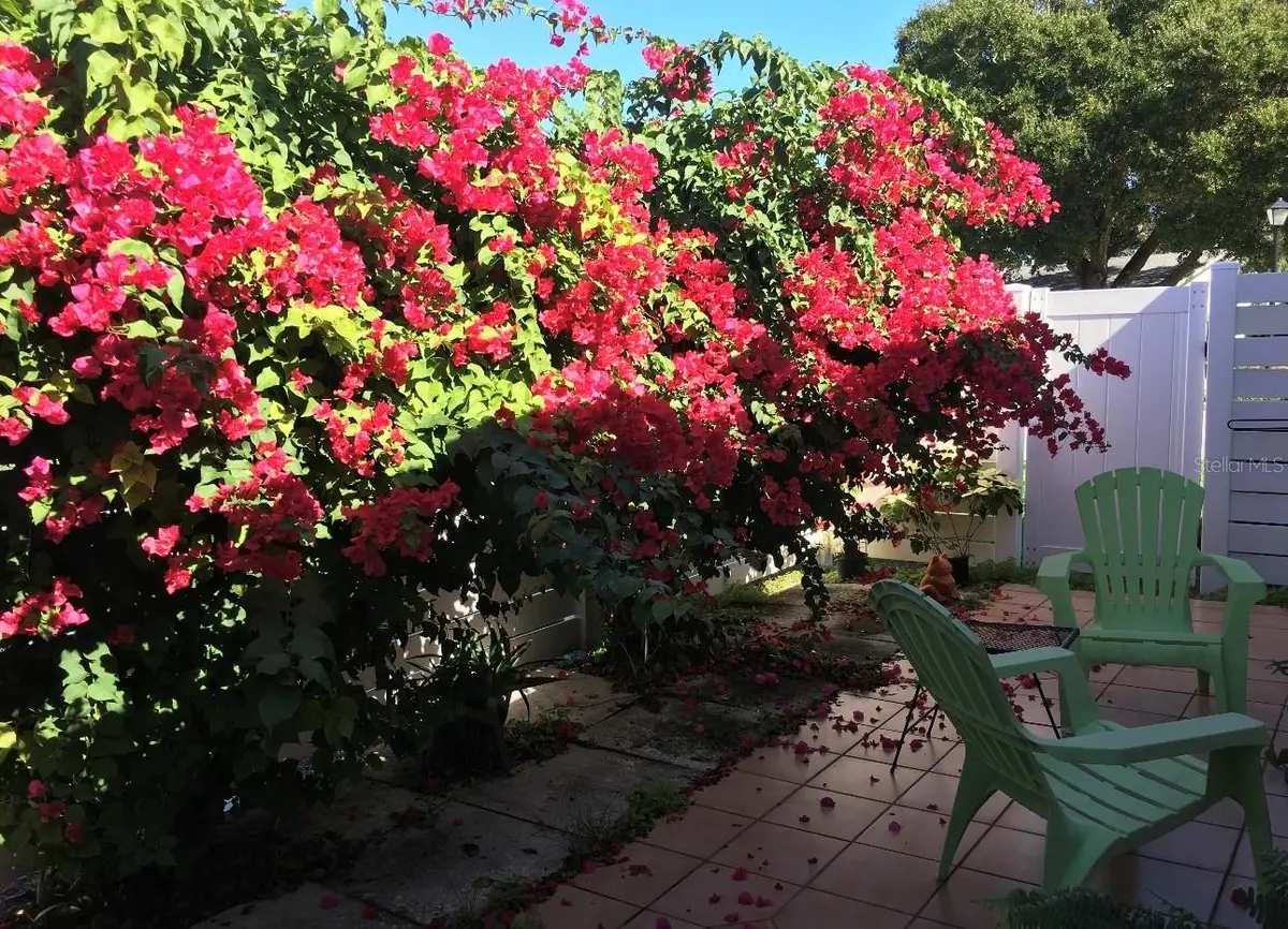 3146 37th Lane S #A, Saint Petersburg, FL 33711 - #1