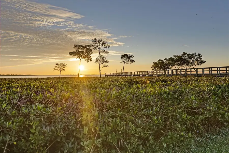 1407 N Bayshore Drive, Safety Harbor, FL 34695 - Image #3