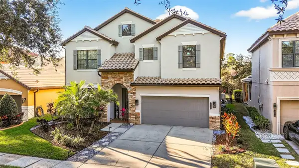 20308 Ash Grove Lane, TAMPA, FL 33647