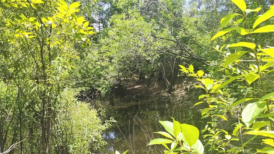 0 Cyril Drive, Dade City, FL 33523 - Image #3