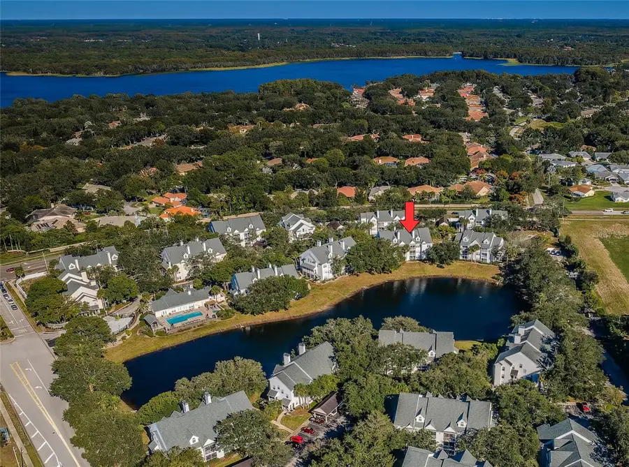 3304 Haviland Court #103, Palm Harbor, FL 34684 - #2