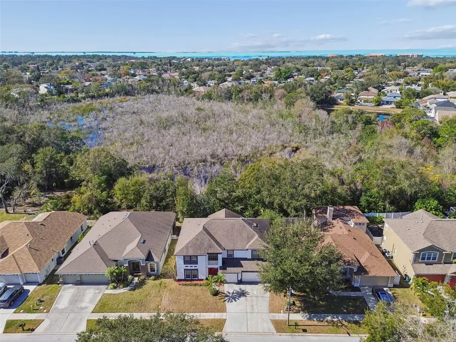 1828 Longview Lane, Tarpon Springs, FL 34689 - Image #3