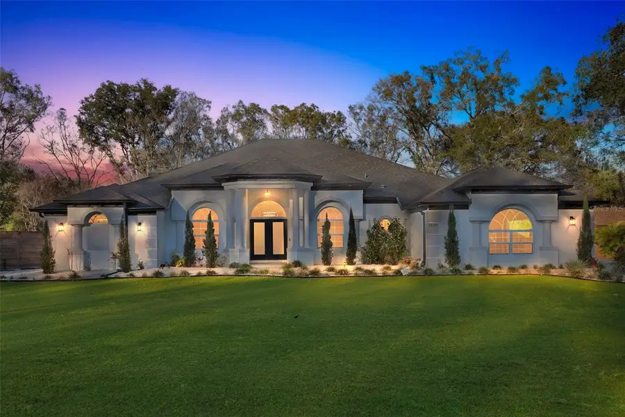 28233 Sonny Drive, Wesley Chapel, FL 33544 - Image #2