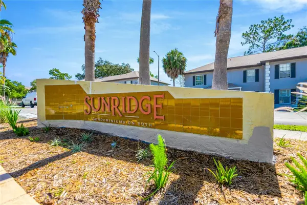 5170 Sunridge Palms Drive, TAMPA, FL 33617