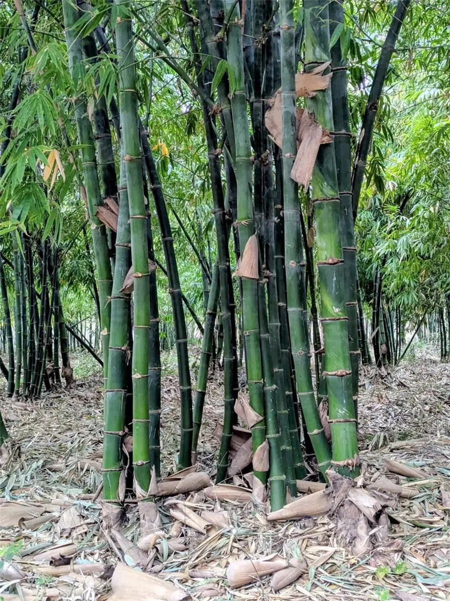 0 Us Highway 27 Highway, Lake Wales, FL 33859 - #3