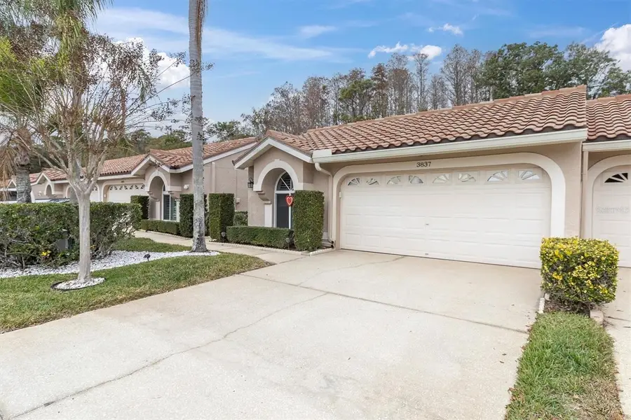 3837 Darston Street, Palm Harbor, FL 34685 - #2