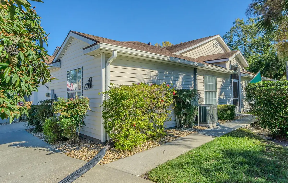 21502 Woodstork Lane, Lutz, FL 33549 - #1