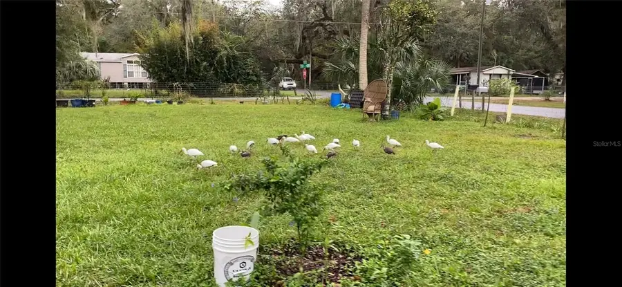 2805 Cr 423, Lake Panasoffkee, FL 33538 - Image #3