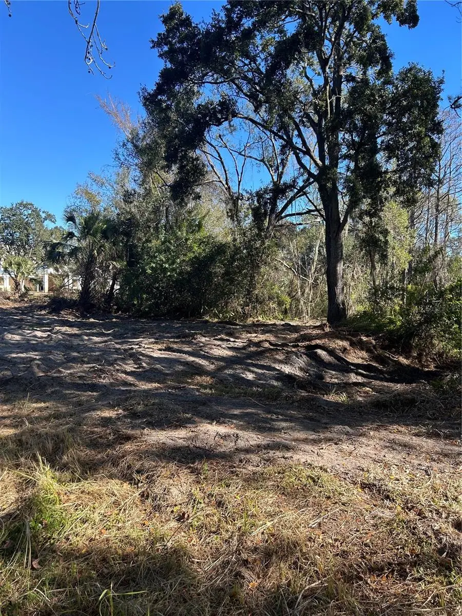 5927 Lynn Road, Tampa, FL 33624 - Image #3