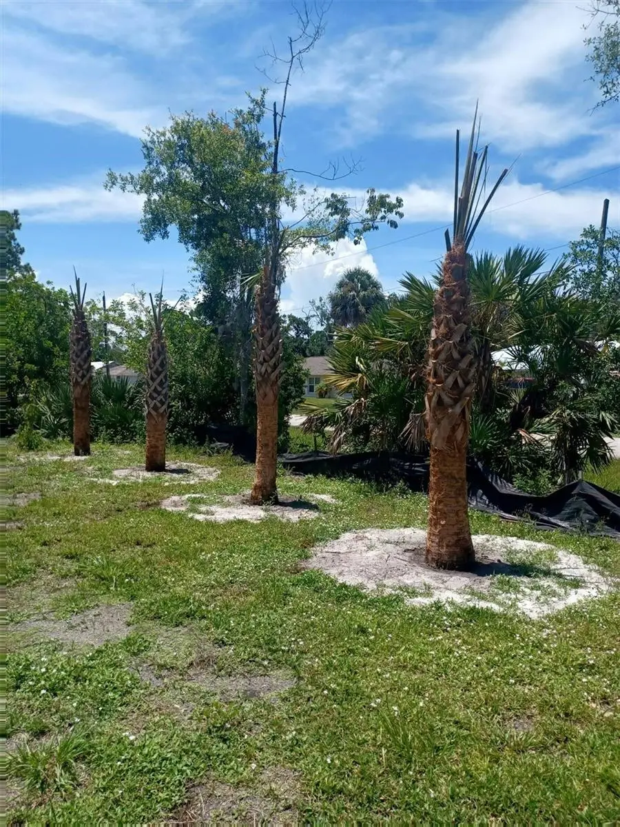 Lin Gina Terrace, Edgewater, FL 32141 - Image #3