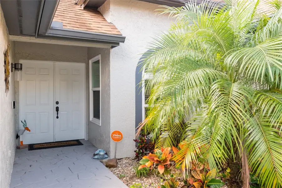 1301 Monte Lake Drive, Valrico, FL 33596 - #3