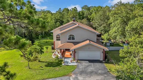 10323 Saranac Trail, HUDSON, FL 34667