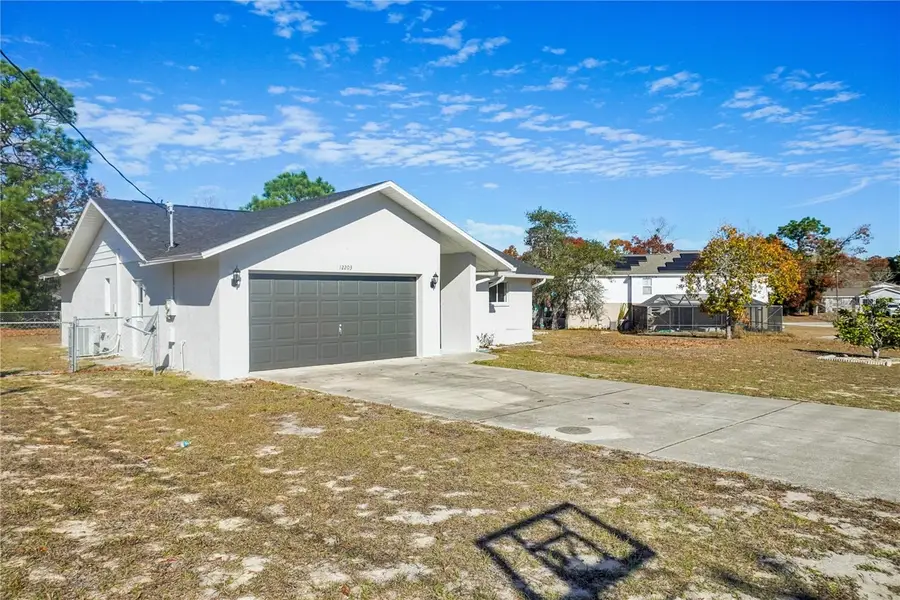 12203 Lamont Drive, Spring Hill, FL 34608 - #3