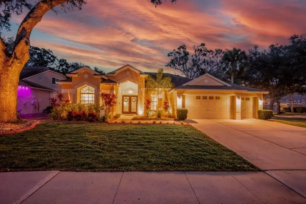 12537 River Birch Drive, Riverview, FL 33569 - Image #1