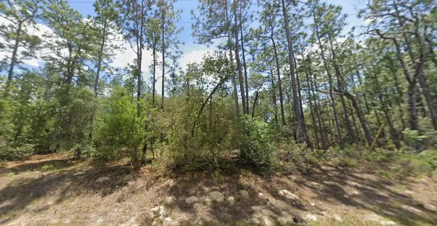 3658 W Galleon Street, Dunnellon, FL 34433 - Image #2