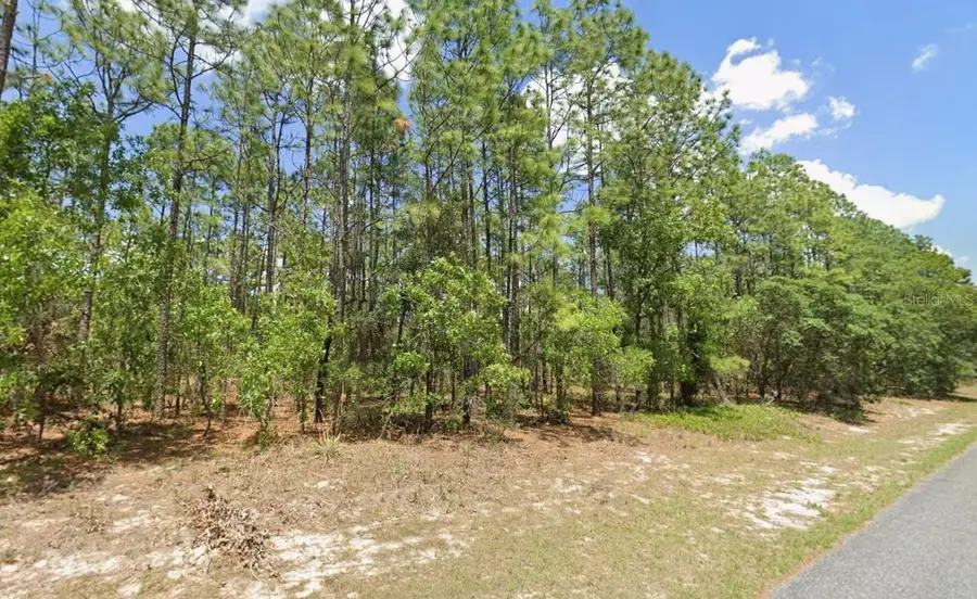 3704 W Lappula Lane, Citrus Springs, FL 34433 - Image #3