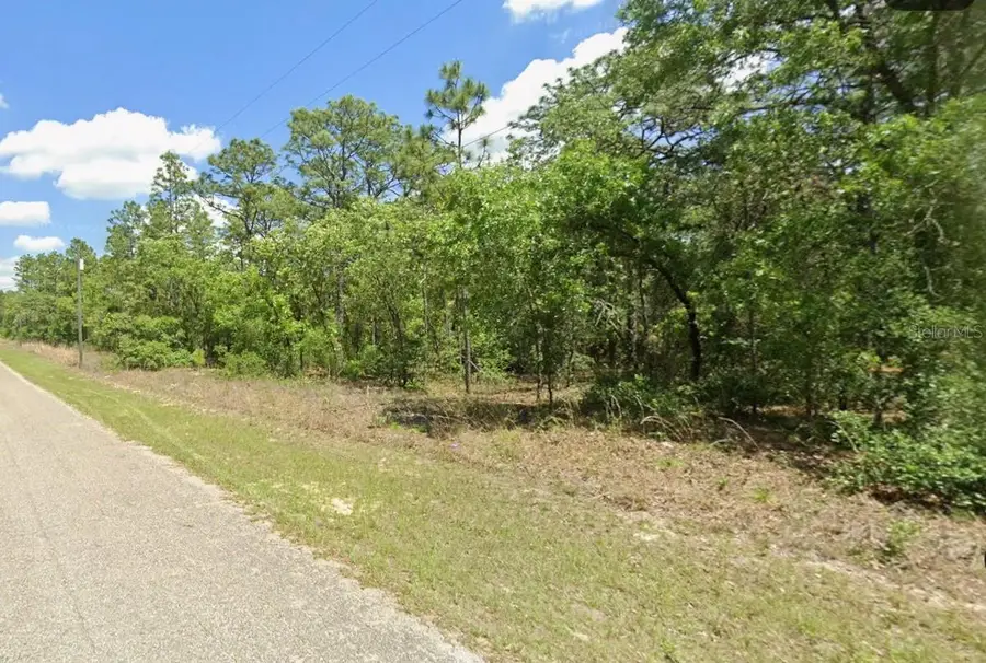 9409 N Fairy Lilly Drive, Citrus Springs, FL 34433 - Image #3