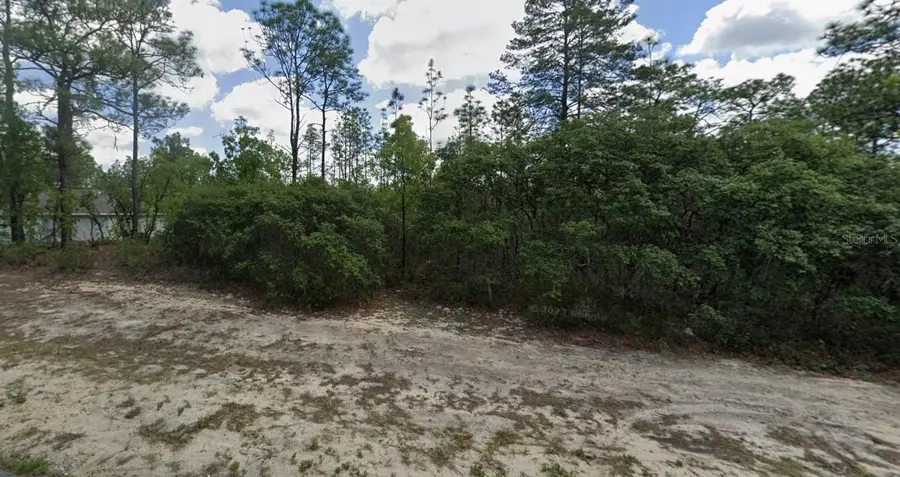 9221 N Paradisea Drive, Citrus Springs, FL 34433 - Image #3