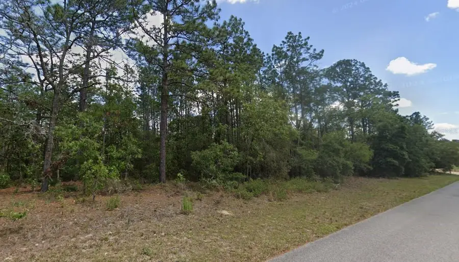 9181 N Satinwood Terrace, Citrus Springs, FL 34433 - Image #3