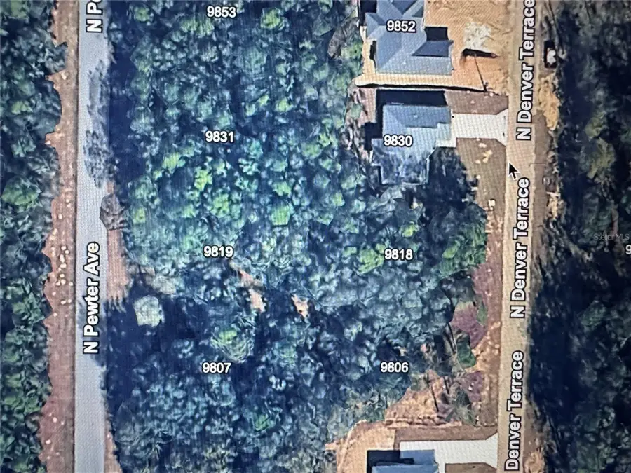 9819 N Pewter Avenue, Dunnellon, FL 34434 - Image #3