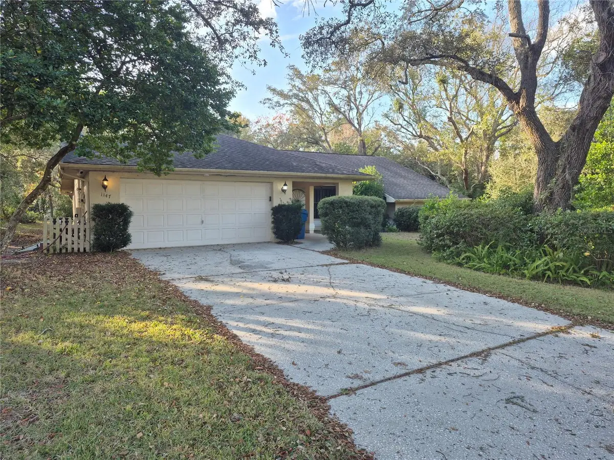 1147 Barranca Avenue, Spring Hill, FL 34609 - Image #1