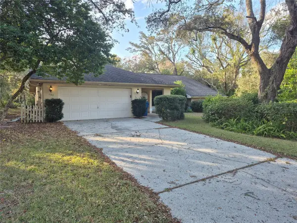 1147 Barranca Avenue, SPRING HILL, FL 34609