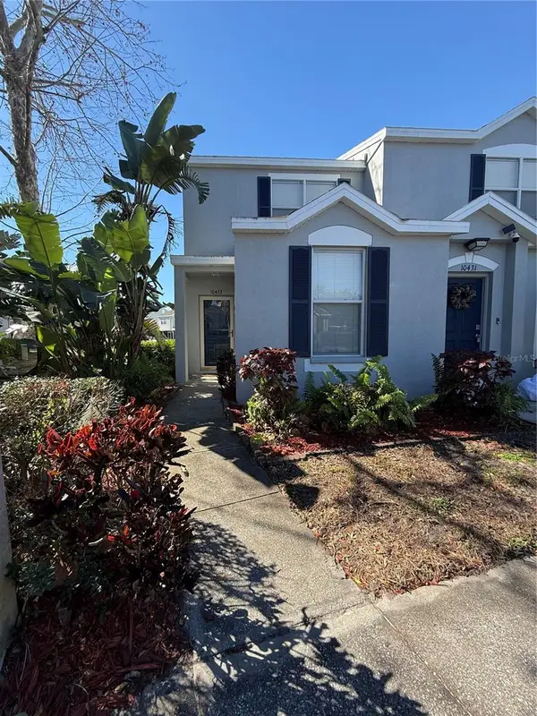 10433 Heron Lake Drive, RIVERVIEW, FL 33578