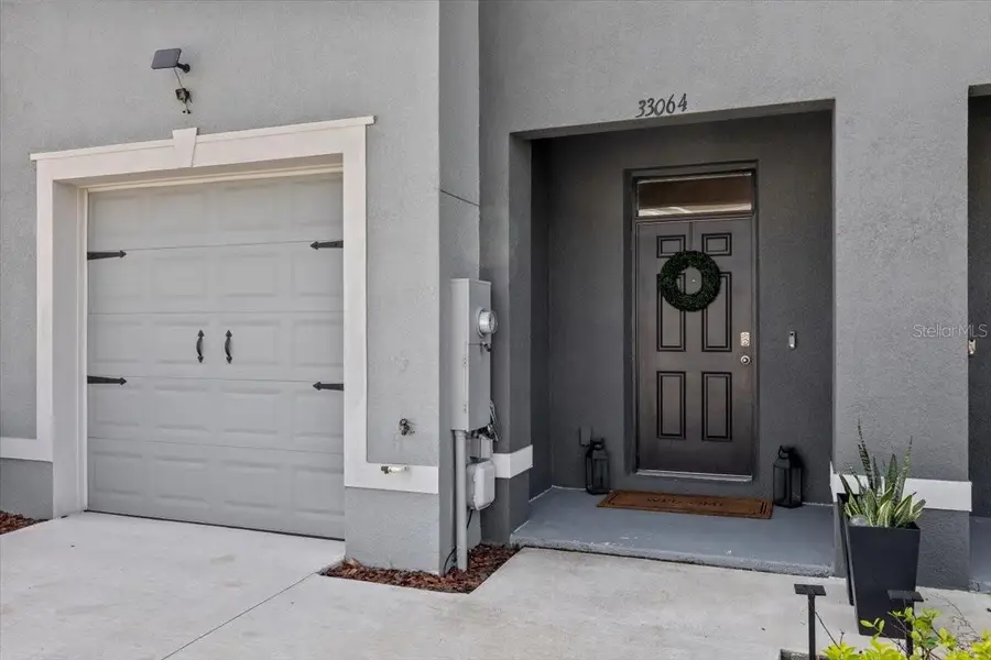 33064 Tulip Petal Lane, Wesley Chapel, FL 33545 - #3