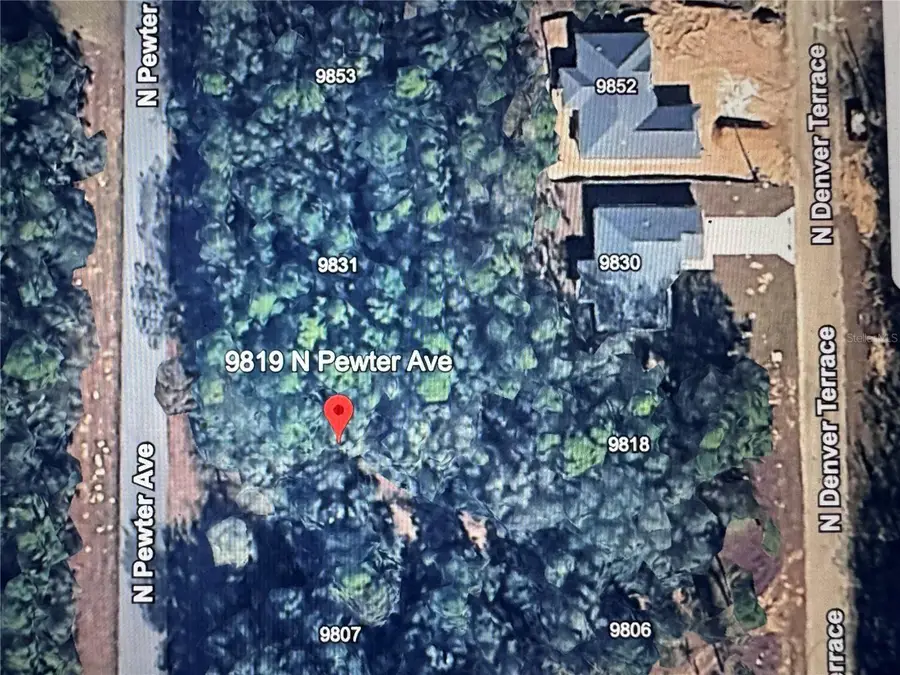 9807 N Pewter Avenue, Dunnellon, FL 34434 - Image #2