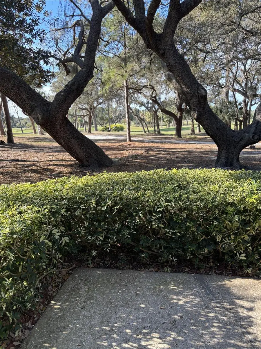 36750 Us Highway 19 N #9-224, Palm Harbor, FL 34684 - Image #2