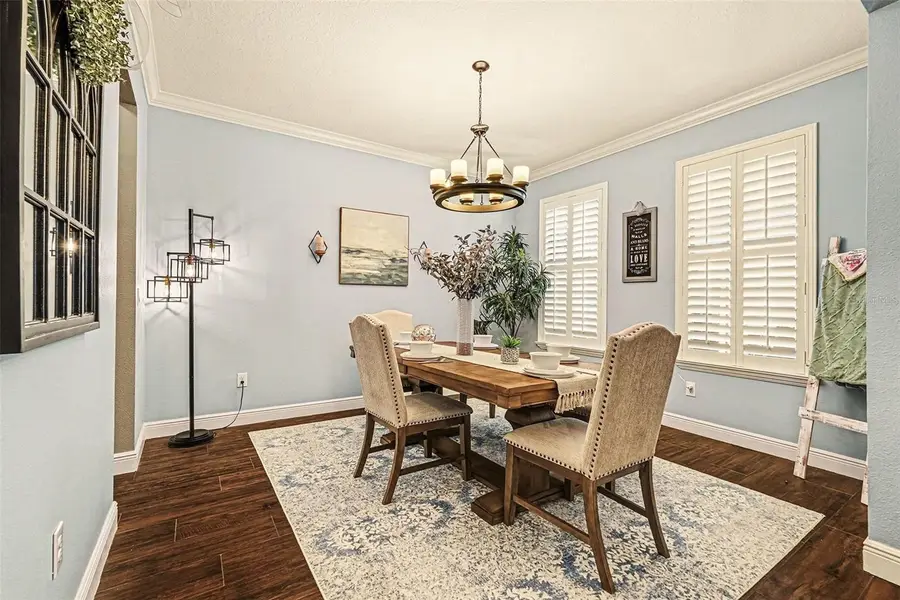 22716 Cherokee Rose Place, Land O Lakes, FL 34637 - #3