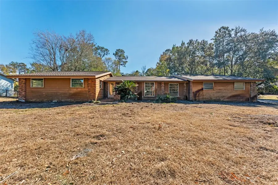 27814 Quail View Lane, Wesley Chapel, FL 33544 - #3