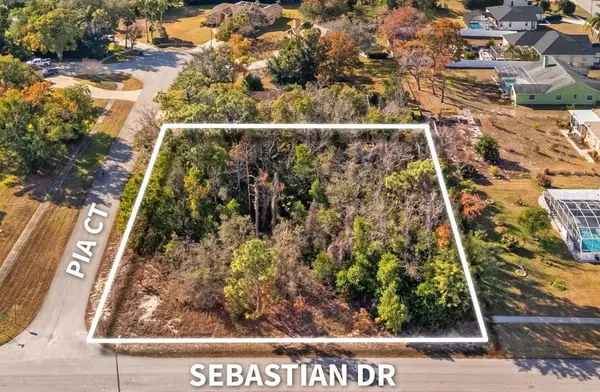 Sebastian Drive, SPRING HILL, FL 34609