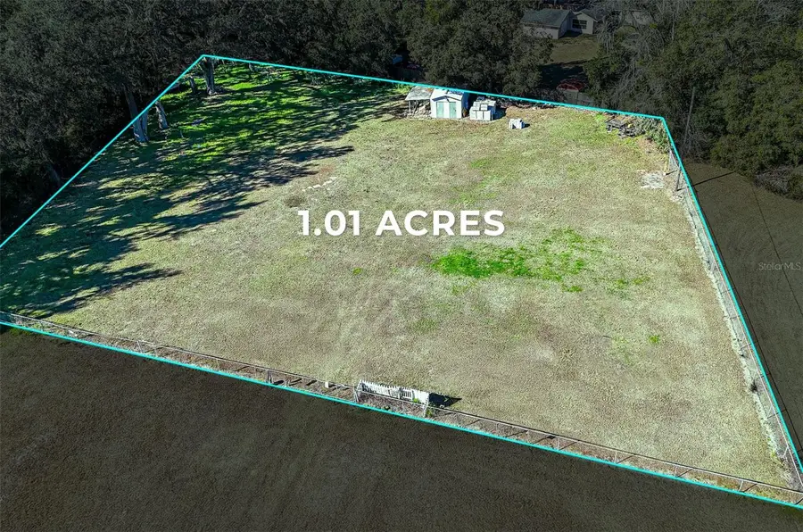 4007 Ernest Drive, Wesley Chapel, FL 33543 - #2