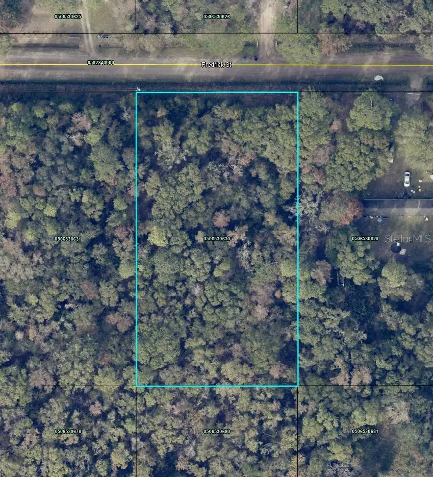 4525 Fredrick Street, Hastings, FL 32145 - Image #1