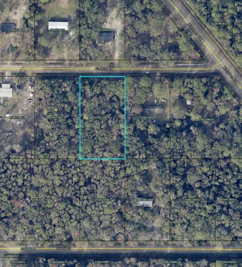 4525 Fredrick Street, Hastings, FL 32145 - Image #2