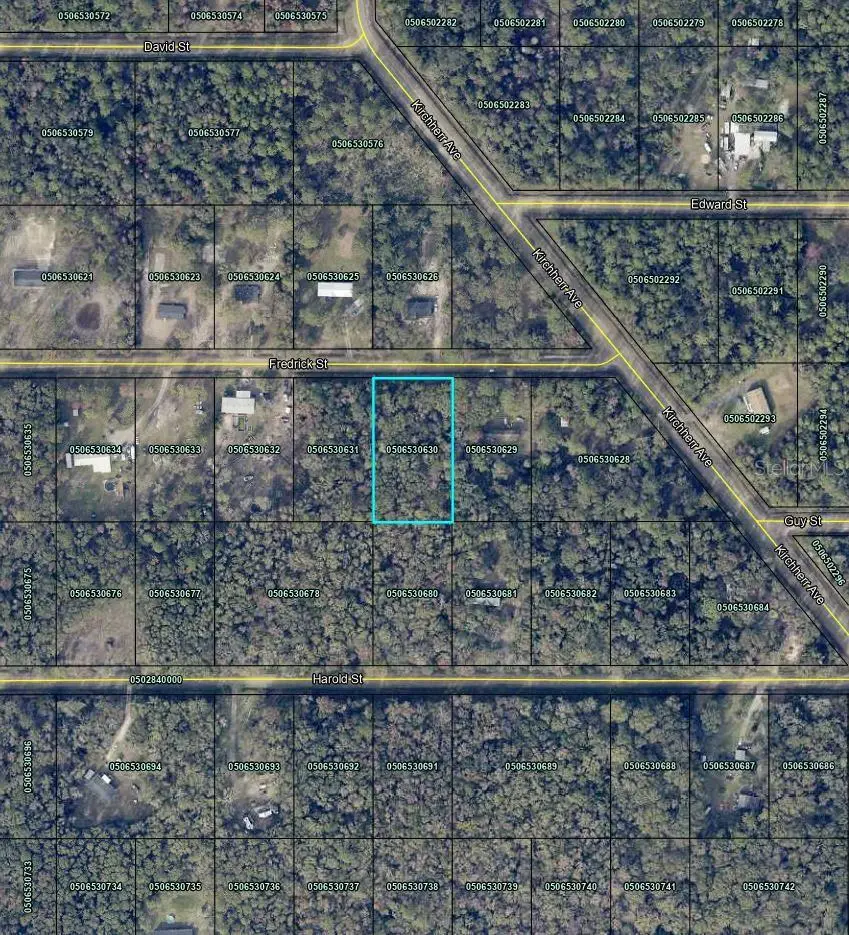 4525 Fredrick Street, Hastings, FL 32145 - Image #3