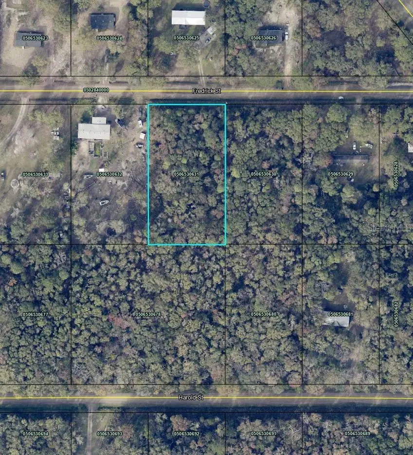 4535 Fredrick Street, Hastings, FL 32145 - Image #2