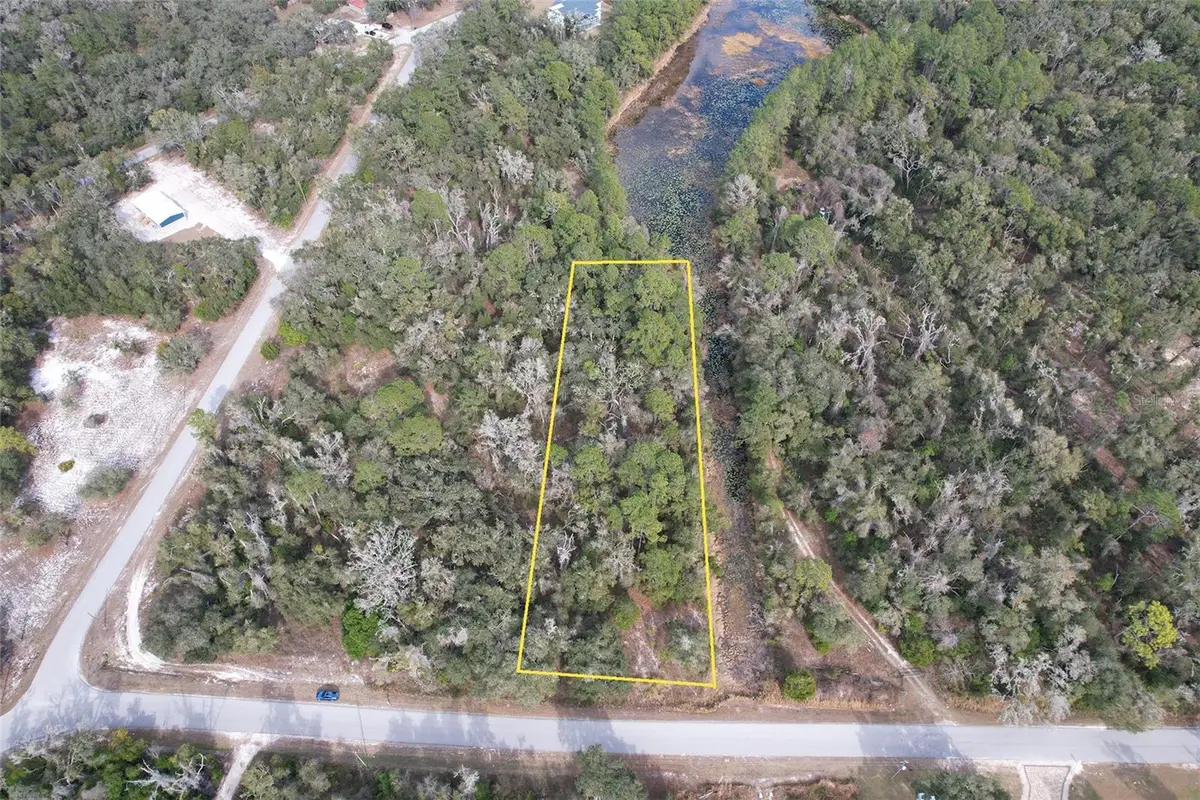 Sharon, Webster, FL 33597 - #1