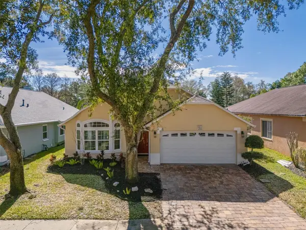 12328 Glenfield Avenue, TAMPA, FL 33626