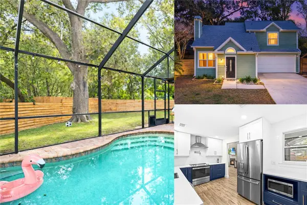 1303 W Carissa Court, TAMPA, FL 33604