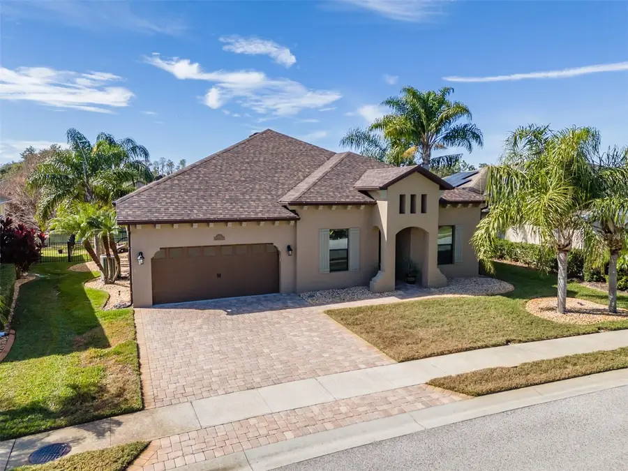 4950 Diamonds Palm, Wesley Chapel, FL 33543 - #3