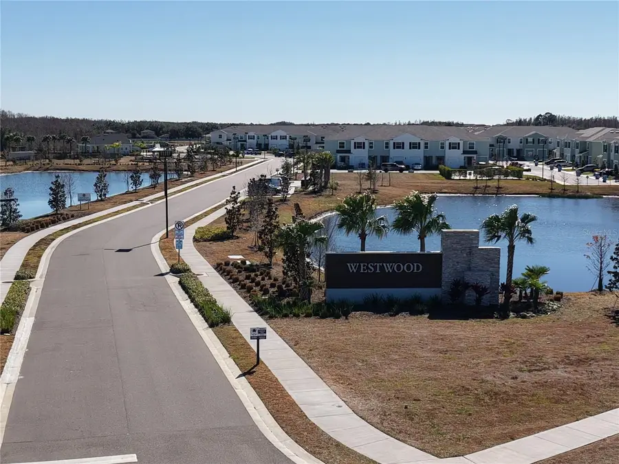 17272 Bigleaf Mahogany Lane, Land O Lakes, FL 34638 - #3